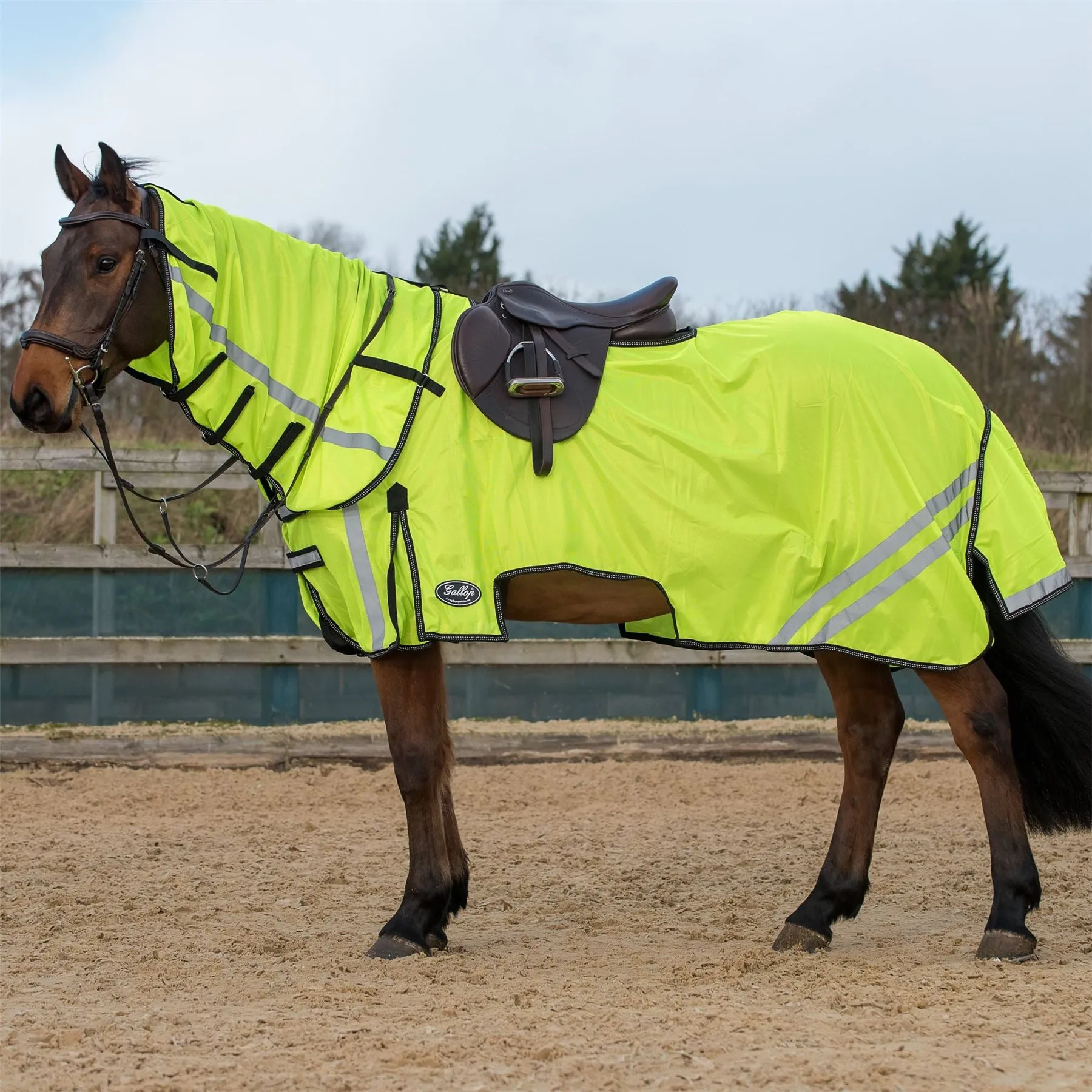 Gallop Equestrian Ride On Fly Mesh Rug & Neck Set